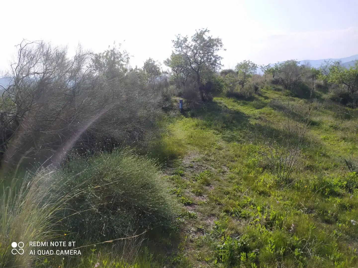 Rural land for sale in Nueva Aljaima - Las Tres Leguas - Los Mondeños, imagen 8