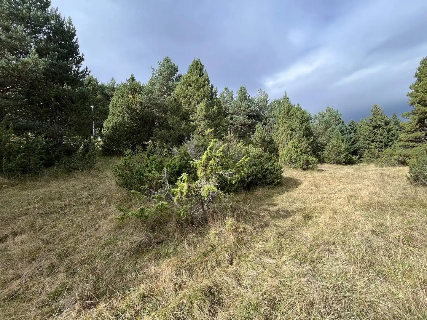 Terreny residencial en venda a Carrer Prat Llong, imagen 4