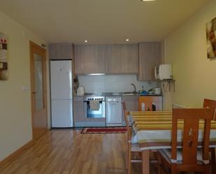 Kitchen of Flat for sale in Aínsa-Sobrarbe