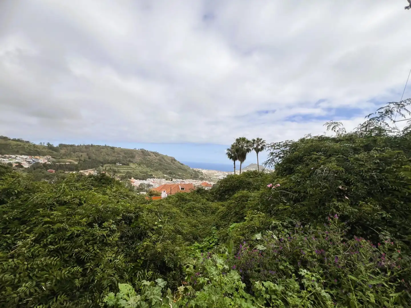 Vista exterior de Residencial en venta en Arucas