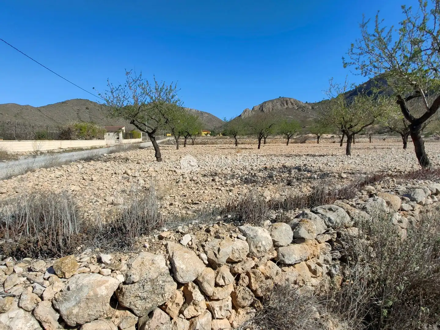 Terreno rustico in vendita a La Murada - Los Vicentes, imagen 3