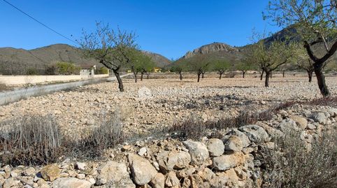 SE VENDE PARCELA CON PRODUCCION DE ALMENDROS AL LADO DEL PUEBLO DE BARBARROJA, imatge 3