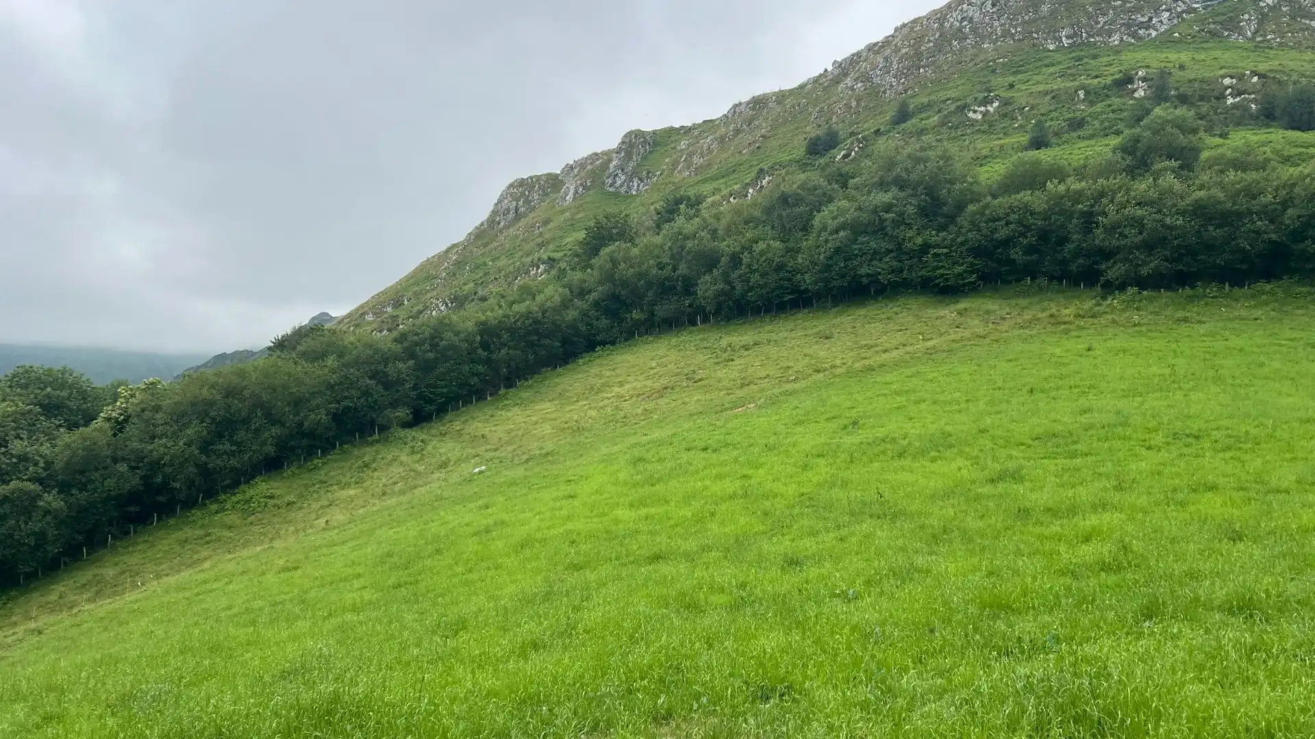 Rural land for sale in Onís, imagen 9