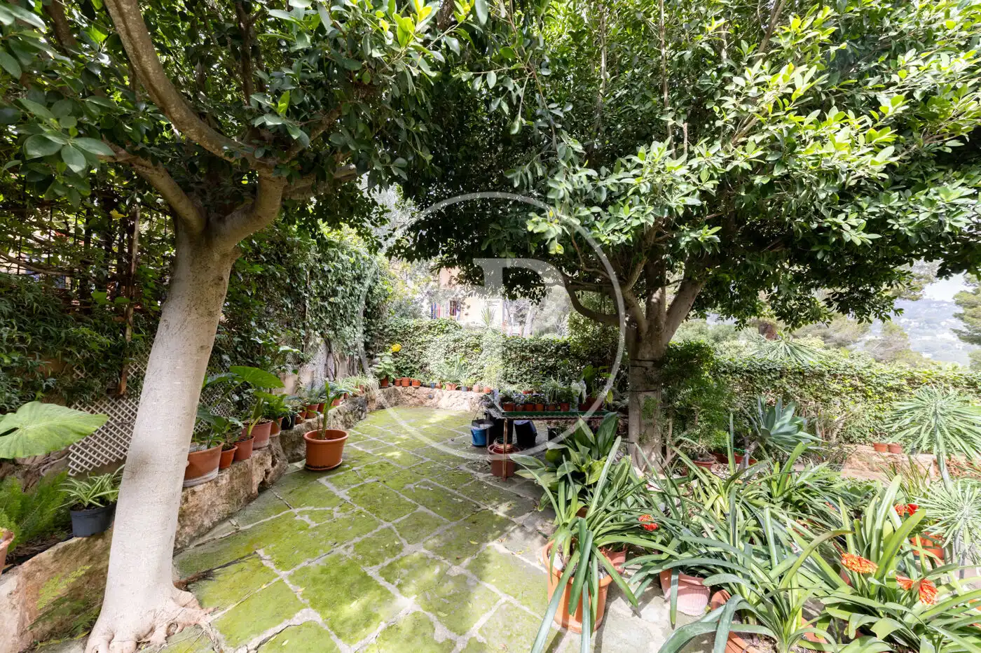 Jardí de Casa o xalet en venda en Calvià amb Aire condicionat, Calefacció i Jardí privat