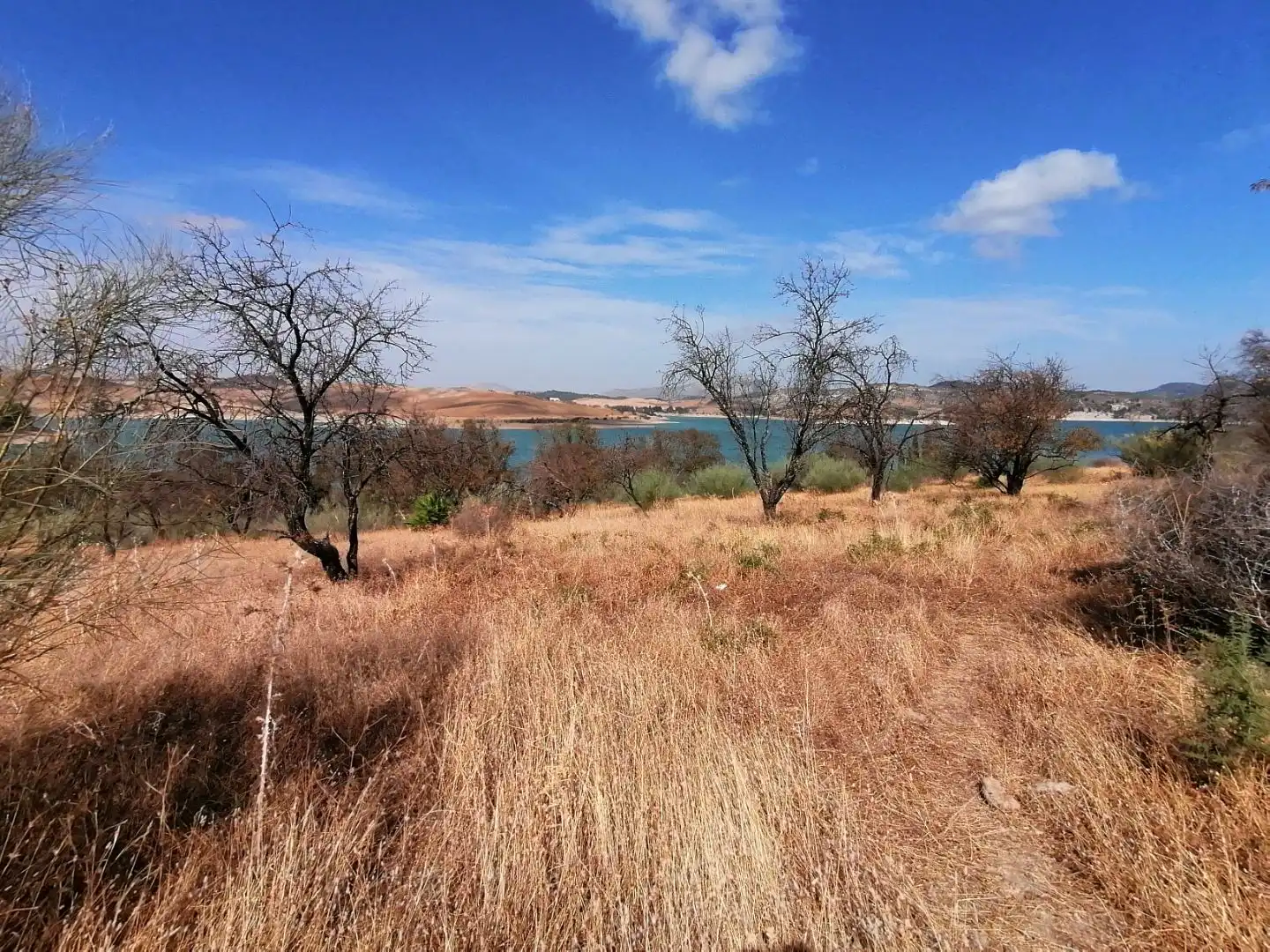 Residential for sale in Ardales