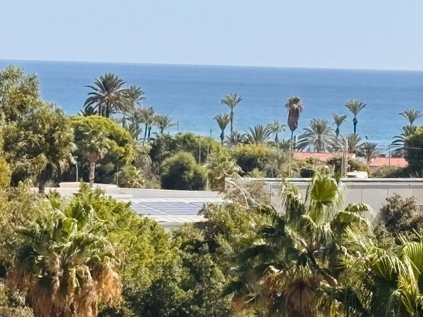 Flat for rent in Alicante / Alacant, Alicante