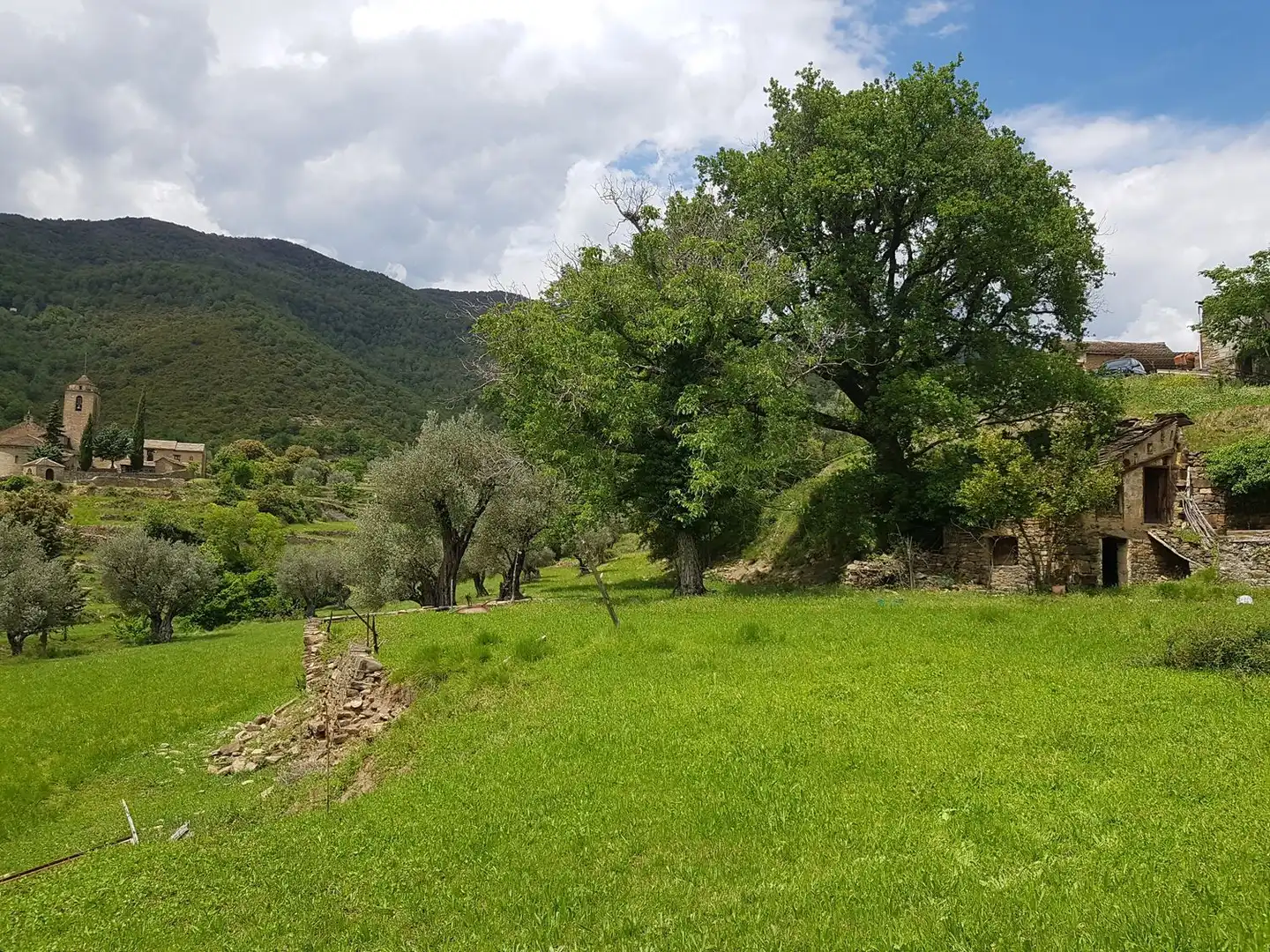 Casa o chalet en venta en El Pueyo de Araguás con Jardín privado