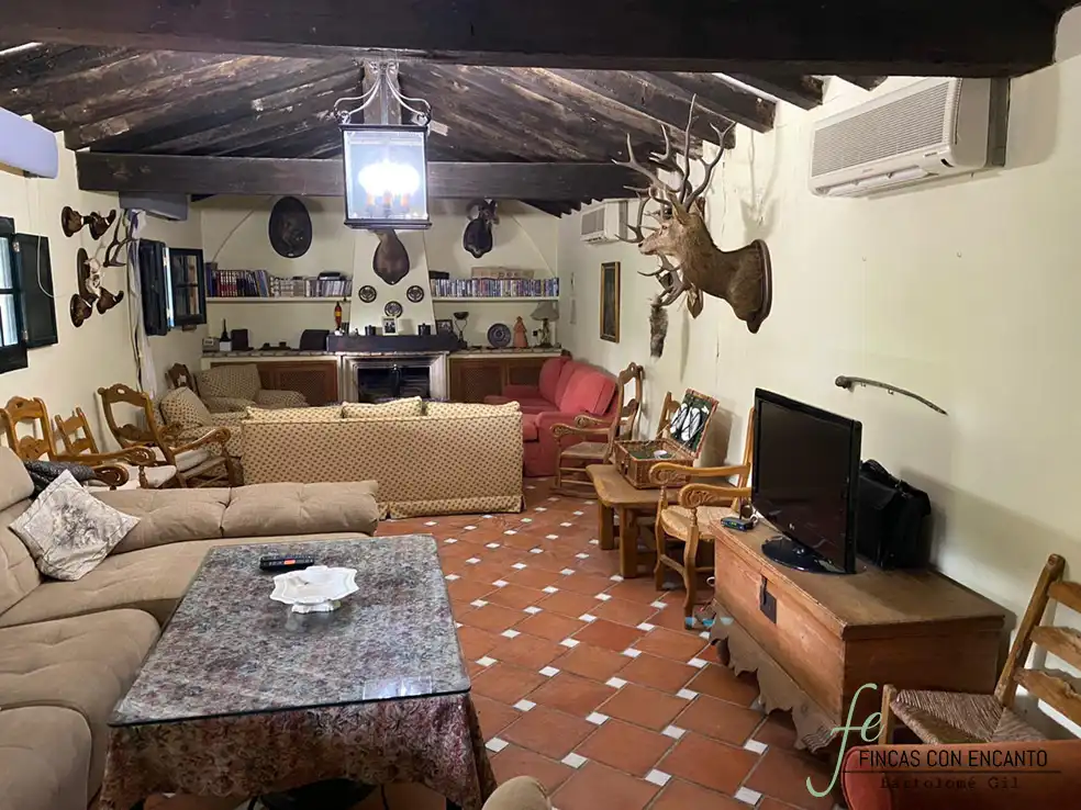 Wohnzimmer von Country house zum Verkauf in Marchena mit Privatgarten, Terrasse und Schwimmbad