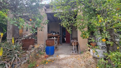 Cortijo con terreno de 11.571 m² con frutales muy cercano al pueblo