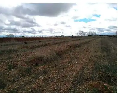 Terreni e lotti in vendita a Chozas de Abajo