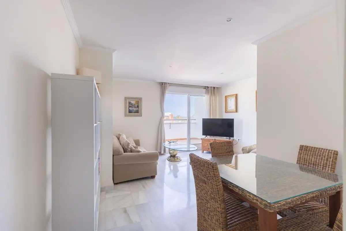Sala d'estar de Àtic en venda en Roquetas de Mar amb Aire condicionat, Jardí privat i Terrassa