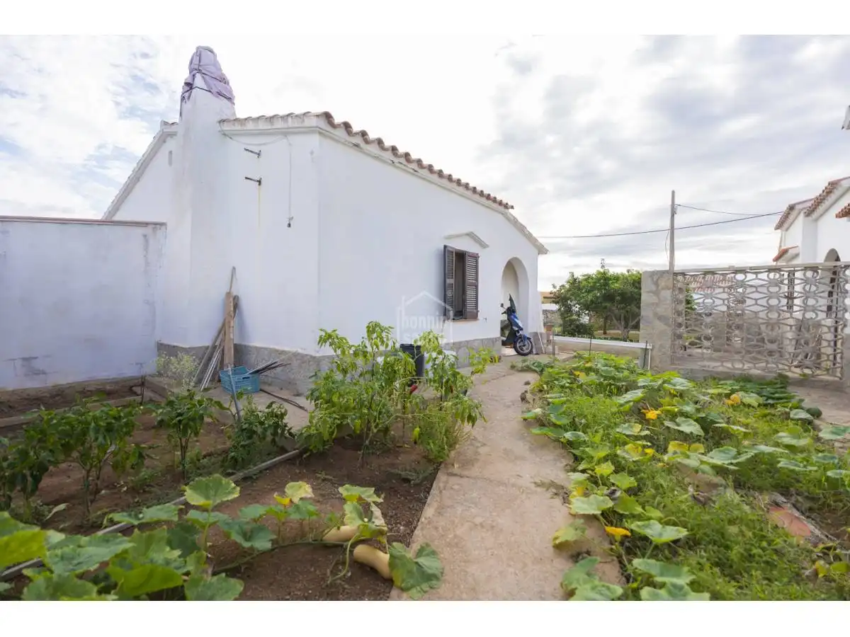 Vista exterior de Apartamento en venta en Alaior con Jardín privado y Terraza