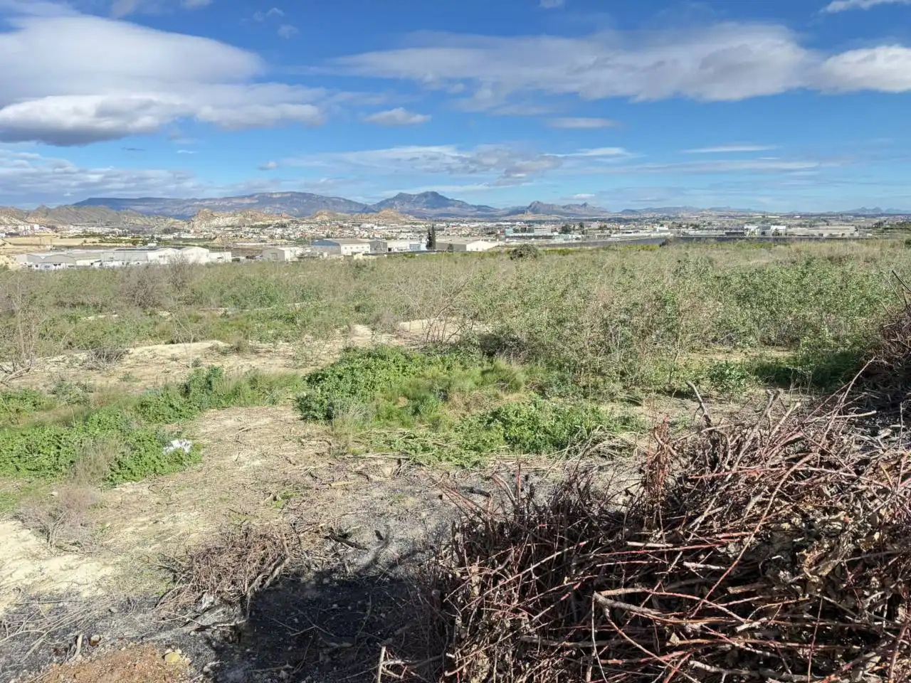Terreny industrial en venda a Ceutí, imagen 2