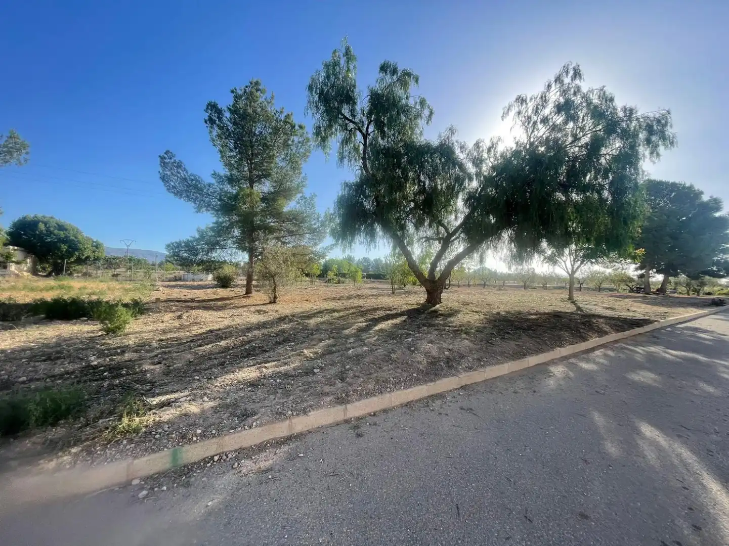 Wohnbaugrundstück zum Verkauf in Pinoso - POLIGONO 7 PARCELA 85, imagen 3