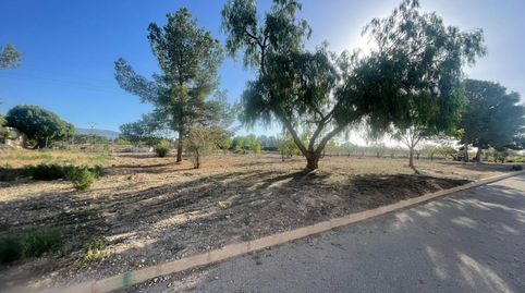 Construye Tu Sueño! Terreno Urbano en Venta en Úbeda  Pinoso, imatge 3