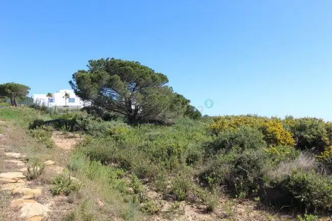 Terreni e lotti in vendita a Sotogrande Alto, imagen 9