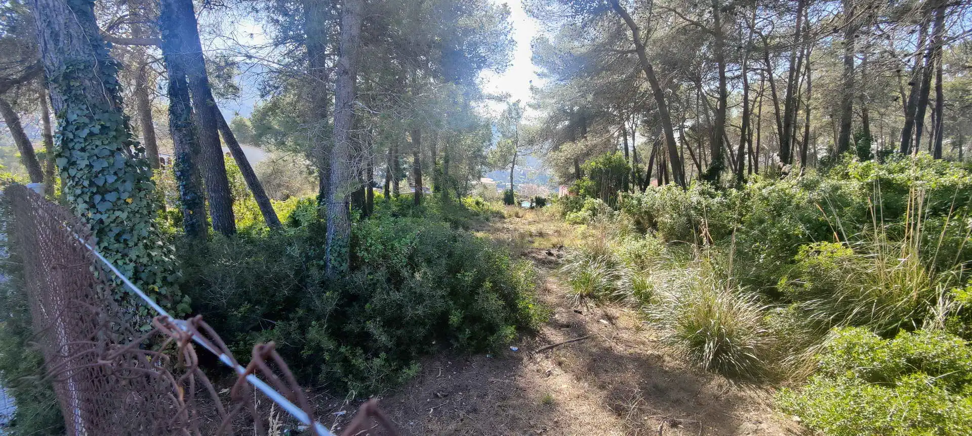 Terreny residencial en venda a Olesa de Bonesvalls, imagen 3