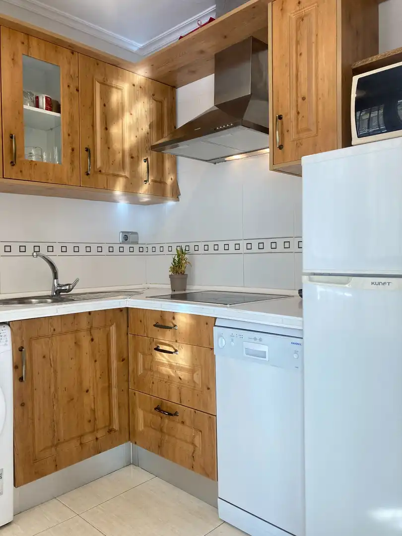 Kitchen of Flat for sale in Roquetas de Mar  with Air Conditioner, Terrace and Swimming Pool