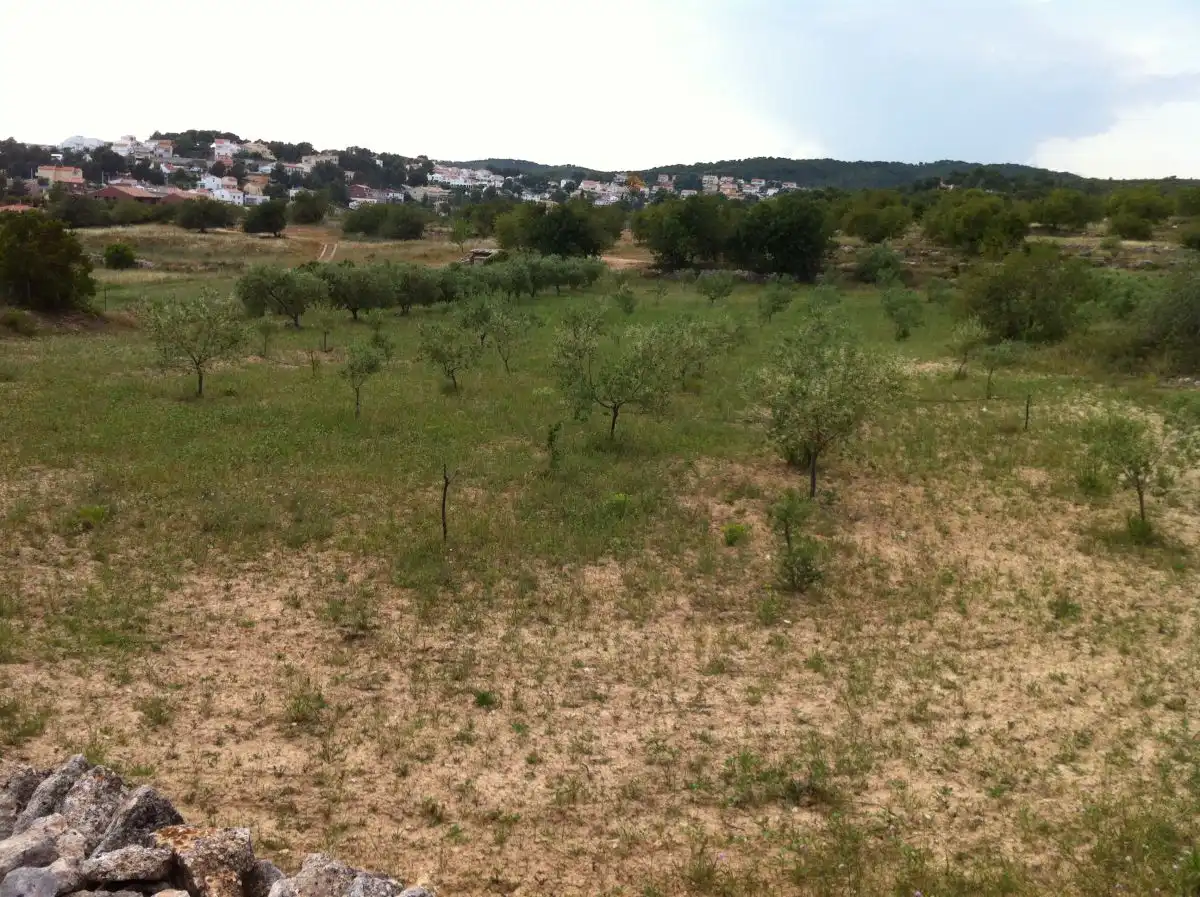 Terrenys i solars en venda a CASTELL DE MONTORNES 1, imagen 6