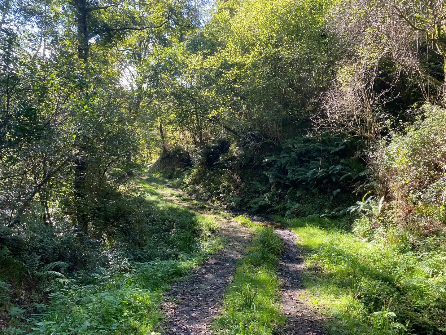 Maison avec jardin à vendre à Tresmonte, imagen 5