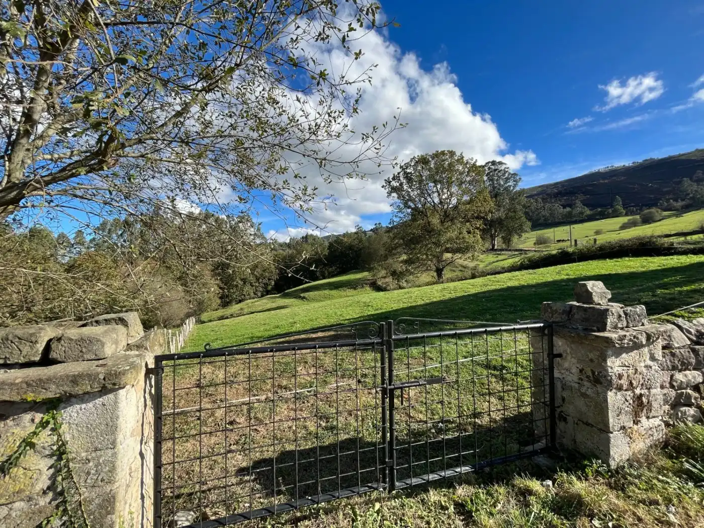 Rural land for sale in Mazcuerras, imagen 4