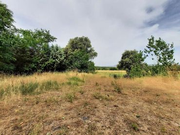 Terreno residencial en venta en Escalona