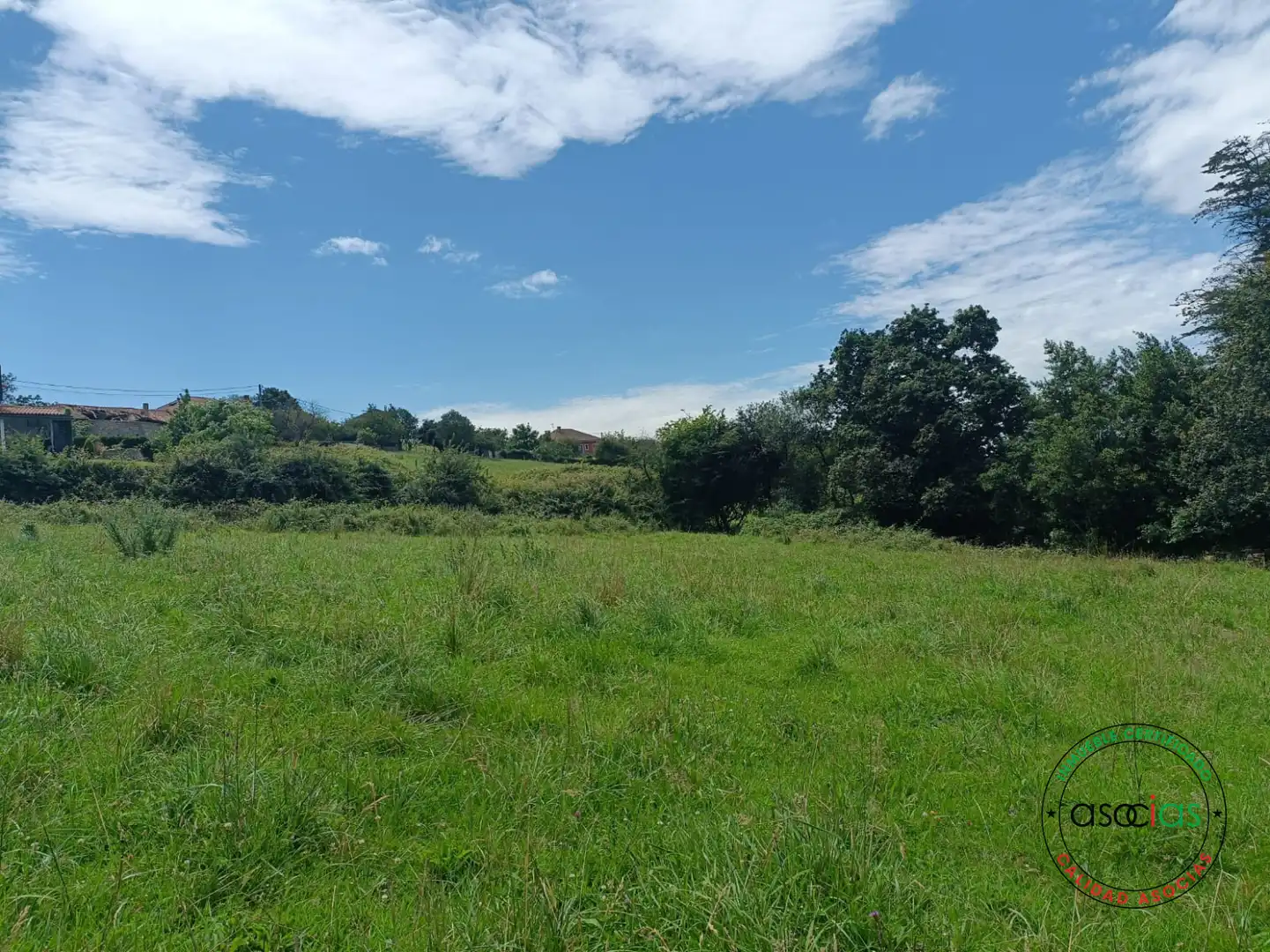 Terreno rustico in vendita a CM DE LA CERCA BAXO-PORCEYO, imagen 4