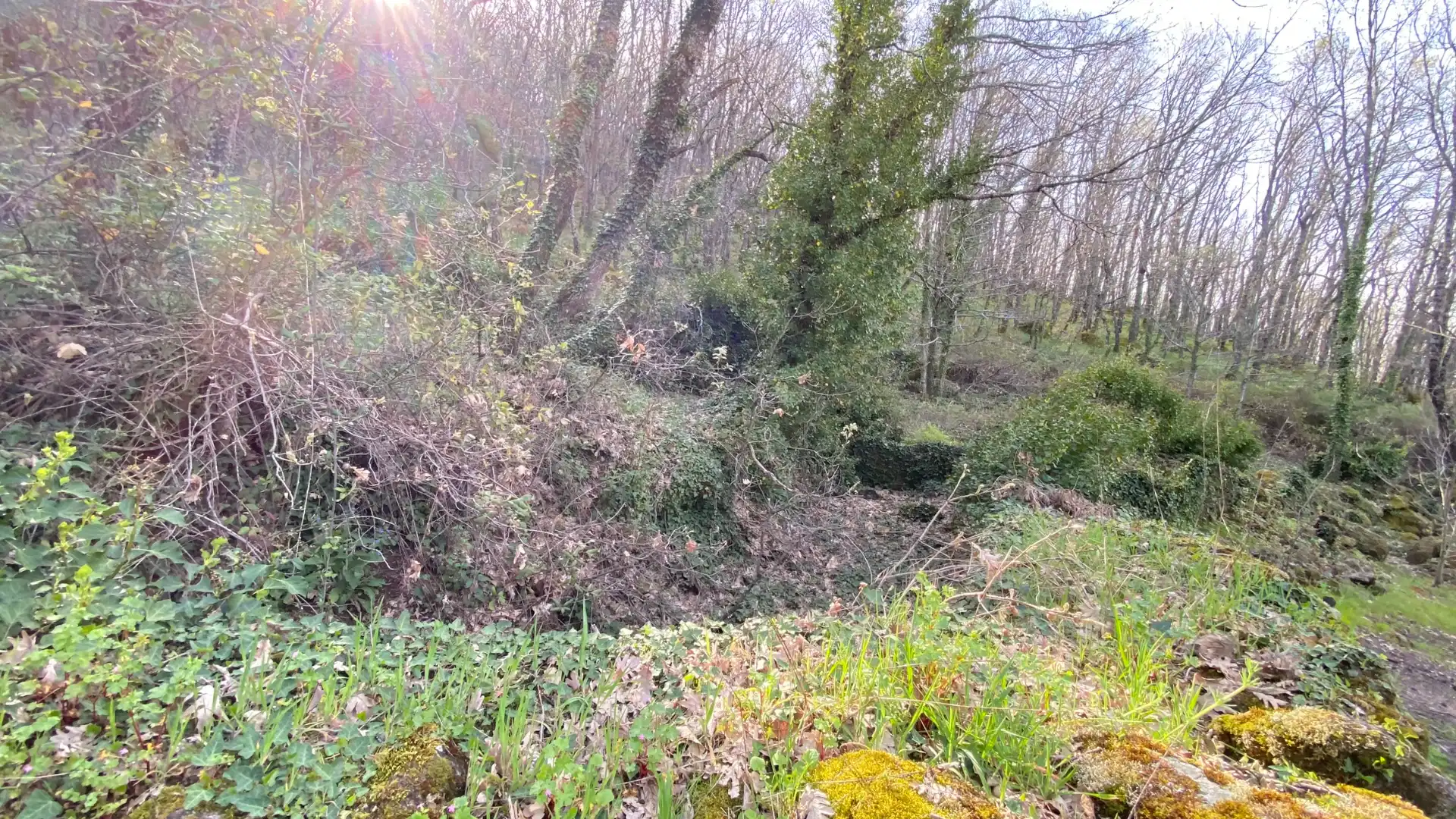 Terreni e lotti in vendita a Barrado, imagen 5