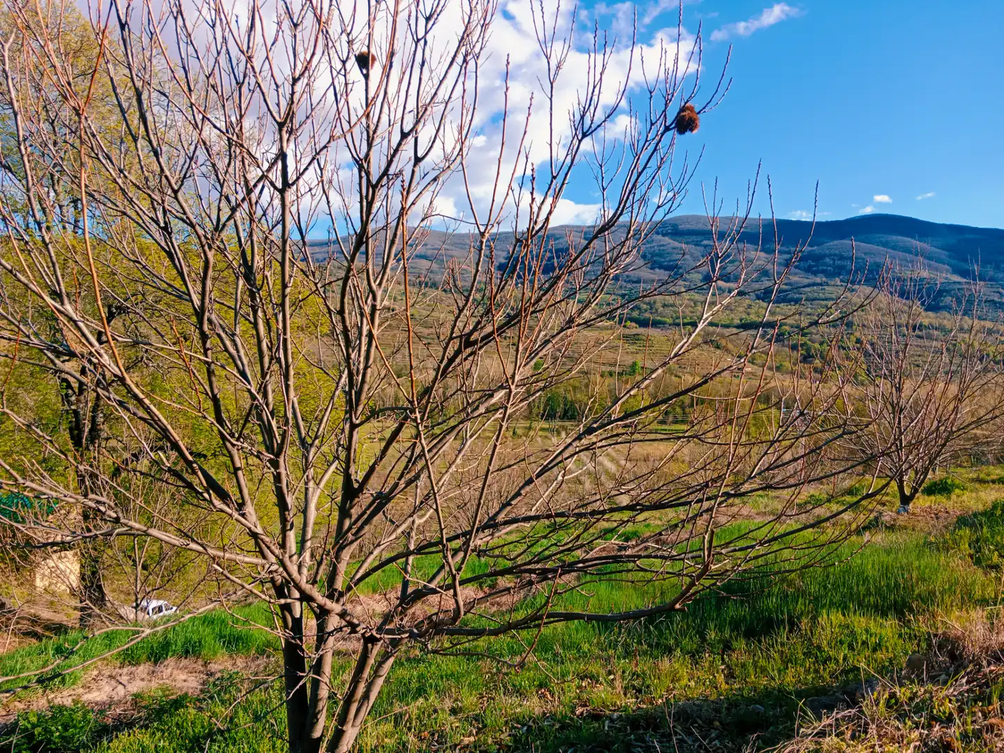 Vista exterior de Terreno en venta en El Torno 