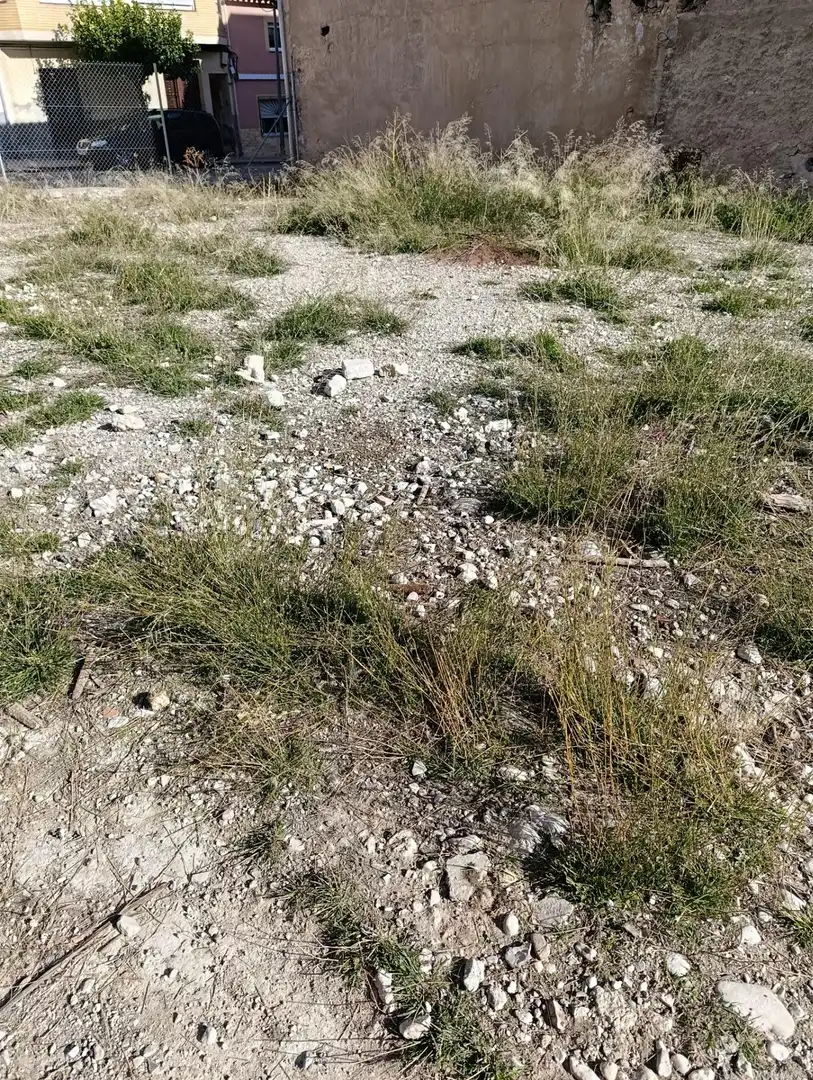 Residential land for sale in Mula, imagen 4