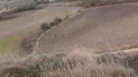 Photo 5 of Land for sale in Rubena, Burgos