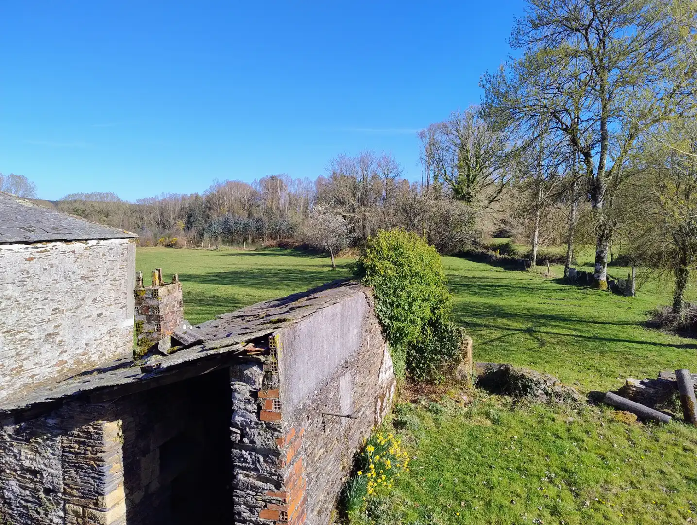 Maison à vendre à Begonte, imagen 54