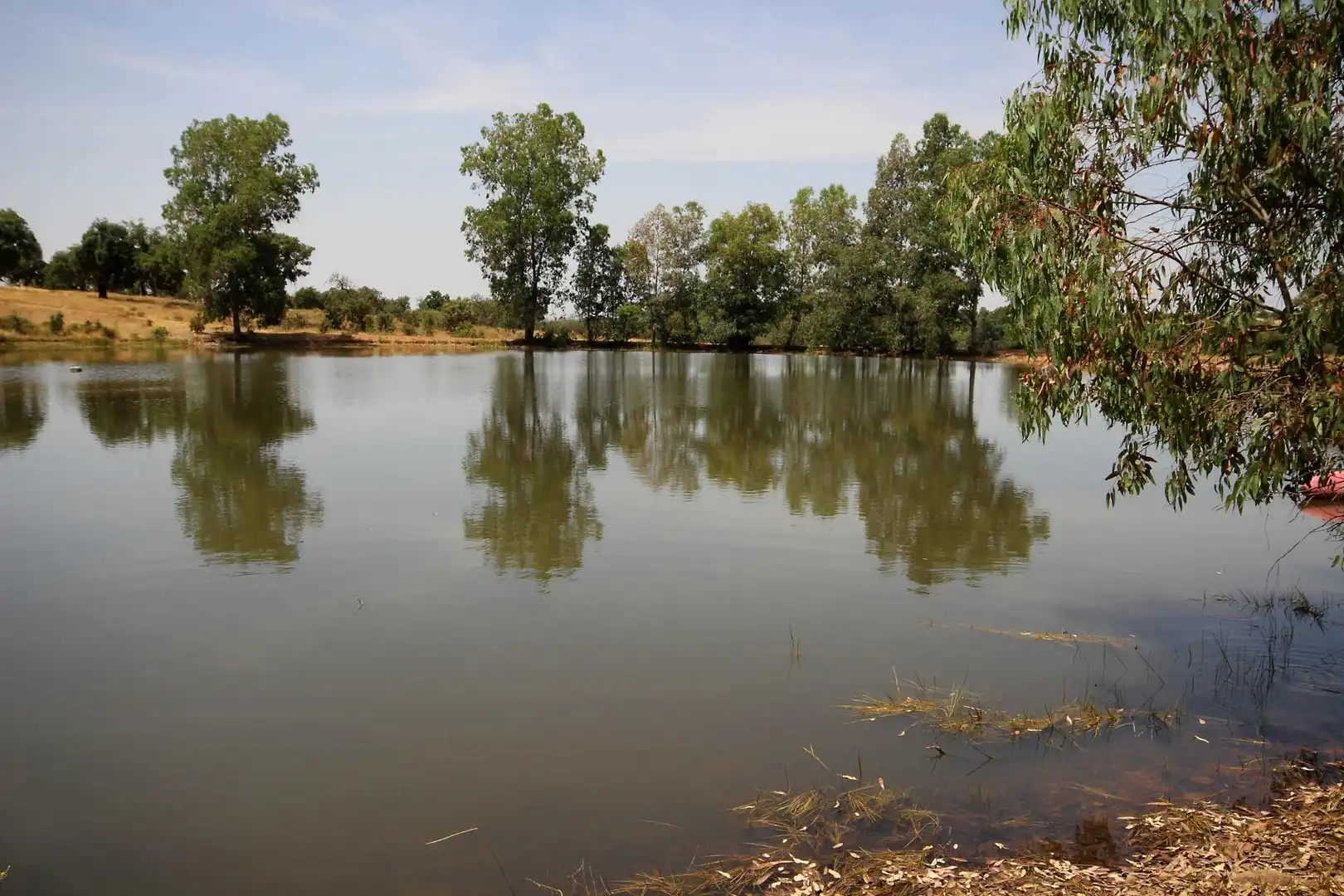 Piscina de Finca rústica en venta en Alcuéscar con Aire acondicionado