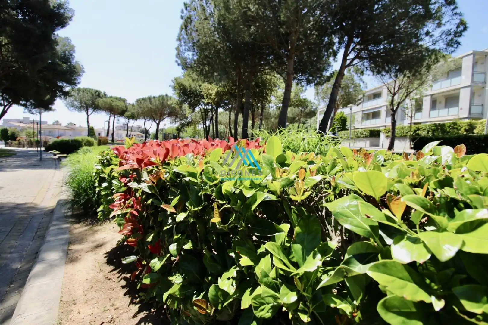 Garden of Attic for sale in Castell d'Aro, Platja d'Aro i s'Agaró  with Air Conditioner, Heating and Terrace