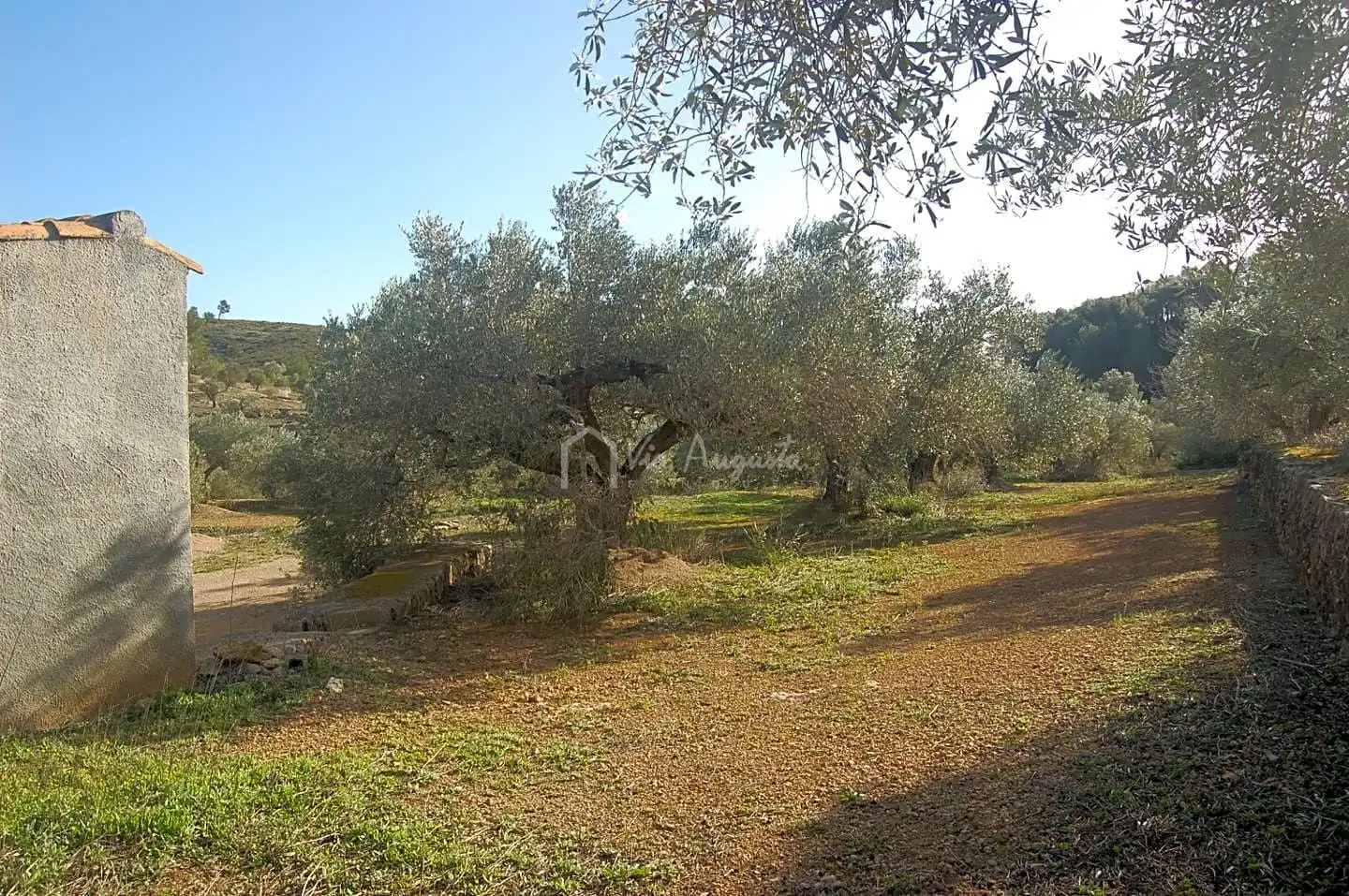 Terreno rustico in vendita a Masets, imagen 14