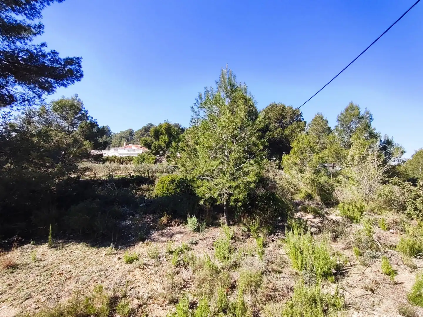 Terreno en venta en Alfara de la Baronia