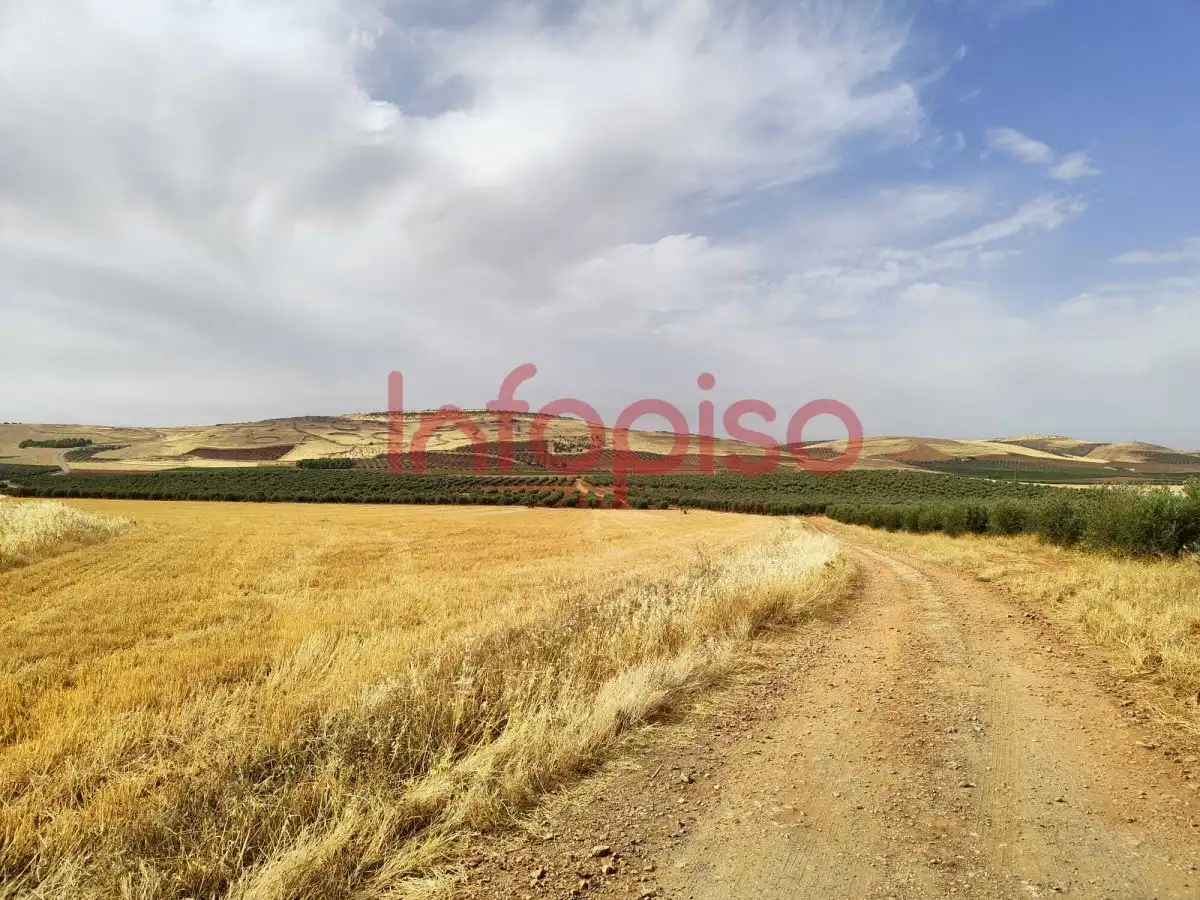 Casa rústica en venda a Valdepeñas, imagen 5