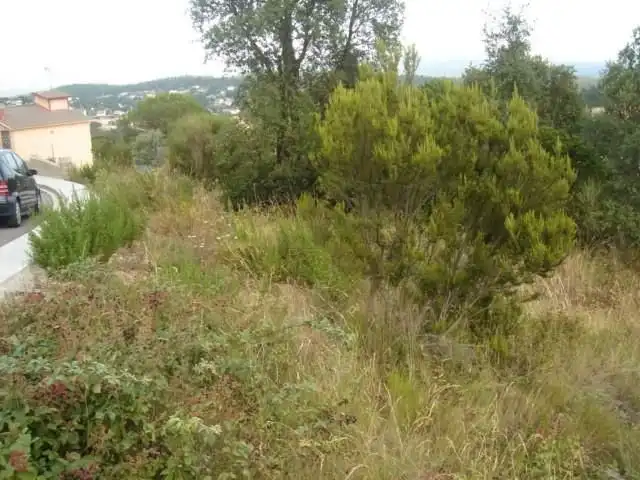 Terrenos y solares en venta en Riudarenes, imagen 2