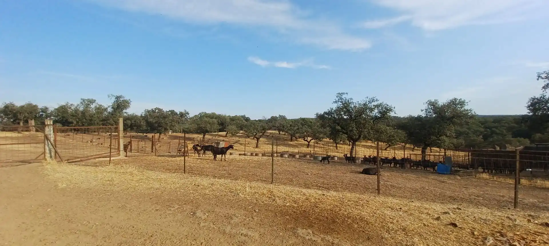 Terreny rústic en venda a Santa Olalla del Cala, imagen 33