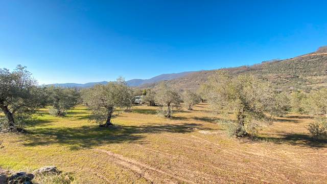 Terreno en Venta en Barrado