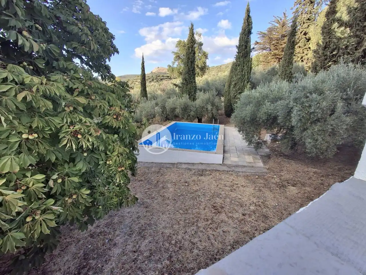 Jardín de Casa o chalet en venta en Los Villares con Jardín privado, Terraza y Piscina