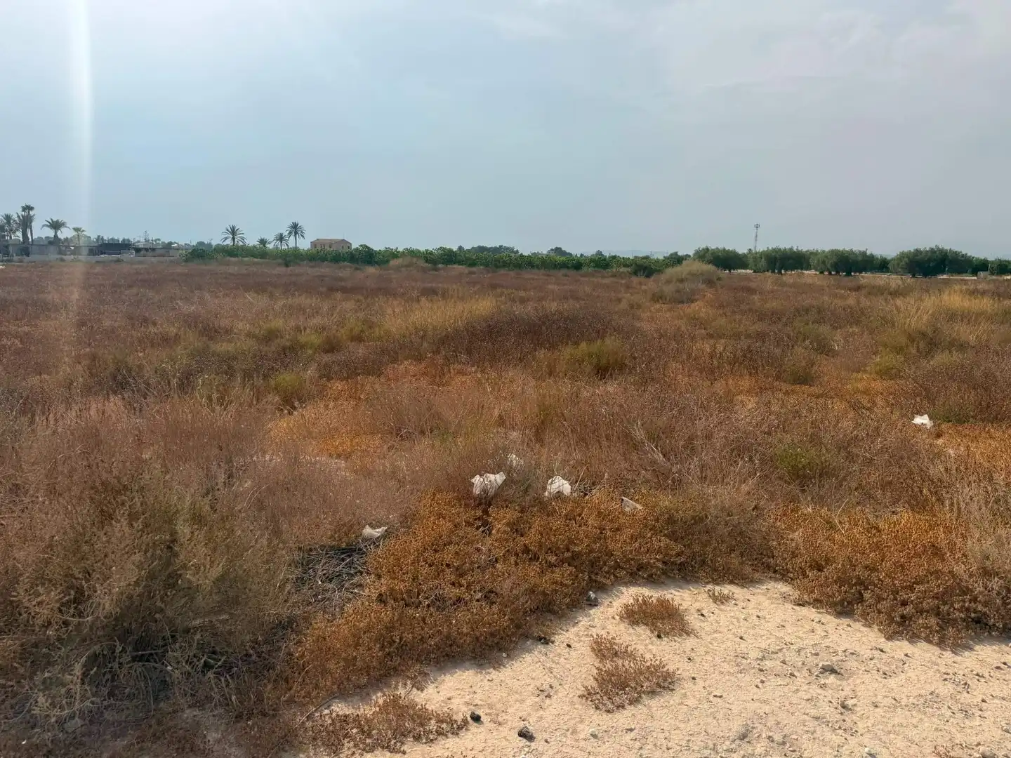Terreno residencial en venta en Elche ciudad