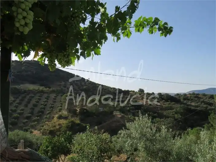 Casa rústica amb piscina en venda a Castillo de Locubín, imagen 7