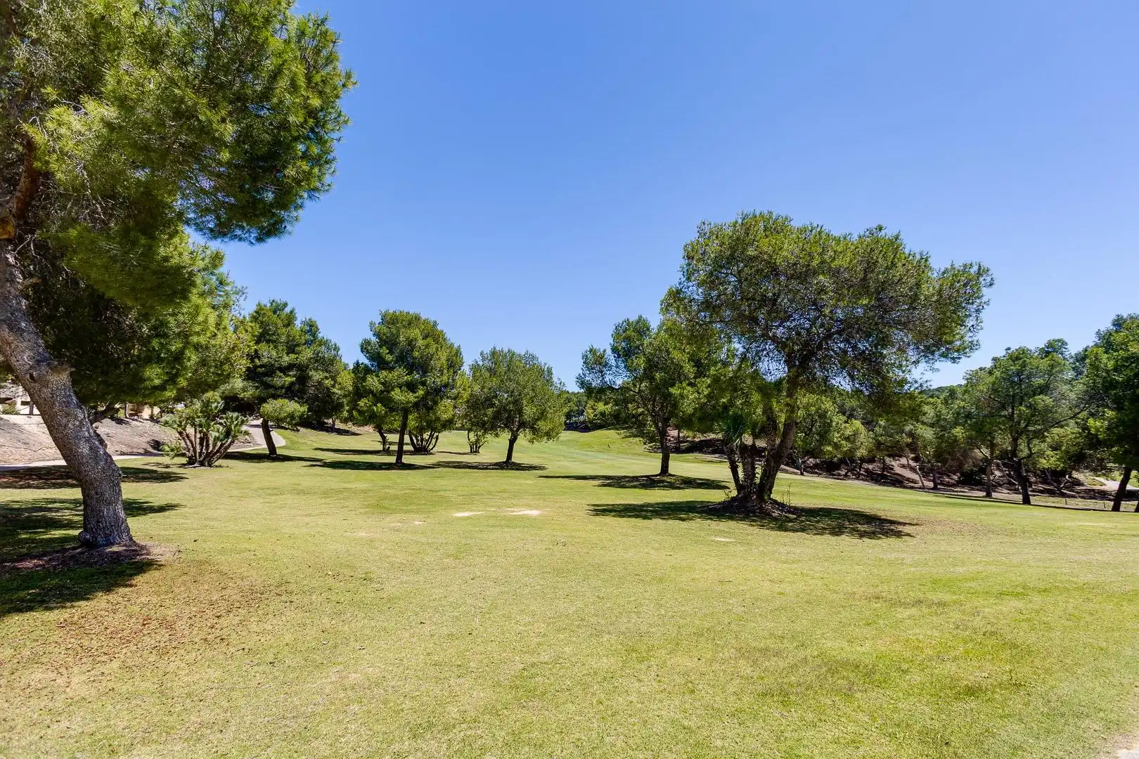 Mini appartamento con terrazza in affitto a Campo de Golf Lomas de Campoamor, imagen 82