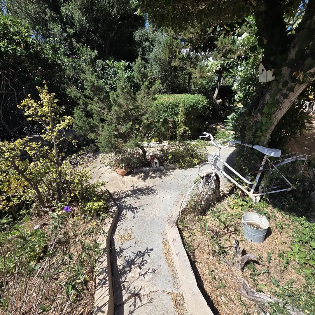 Jardí de Casa o xalet en venda en Ciutadella de Menorca amb Jardí privat, Terrassa i Moblat