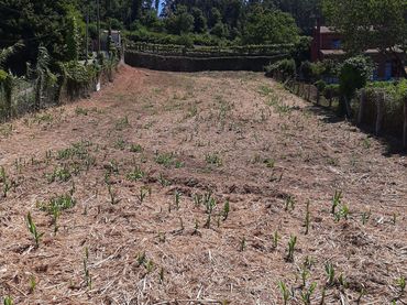 Terreno residencial en venta en Caldas de Reis