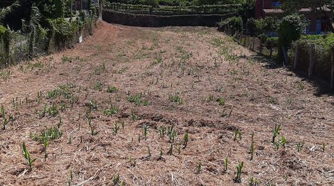 FINCA EN VENTA EN CALDAS