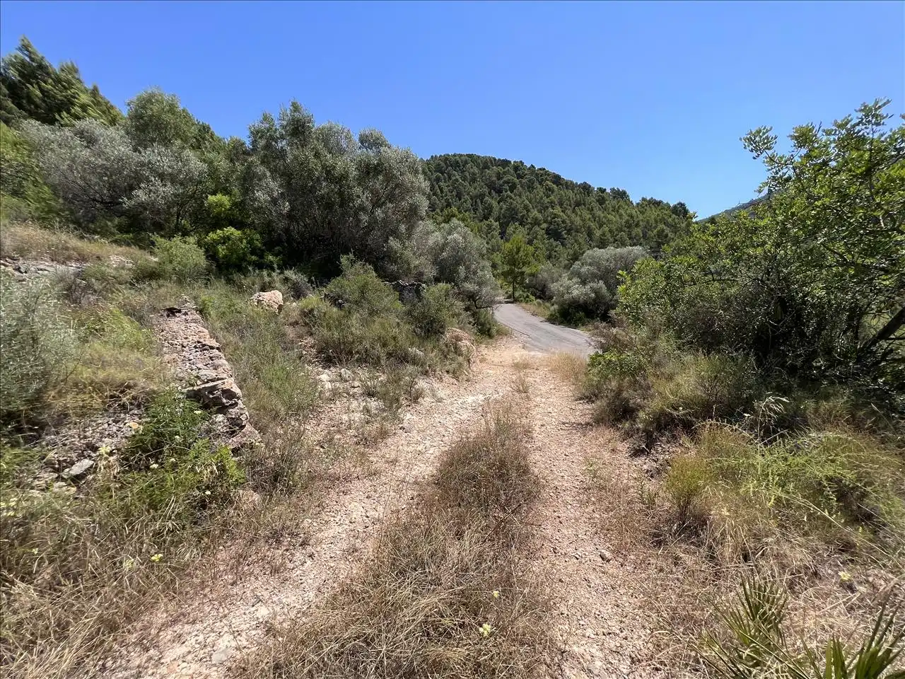 Residential land for sale in Proc. Simplificado, imagen 8