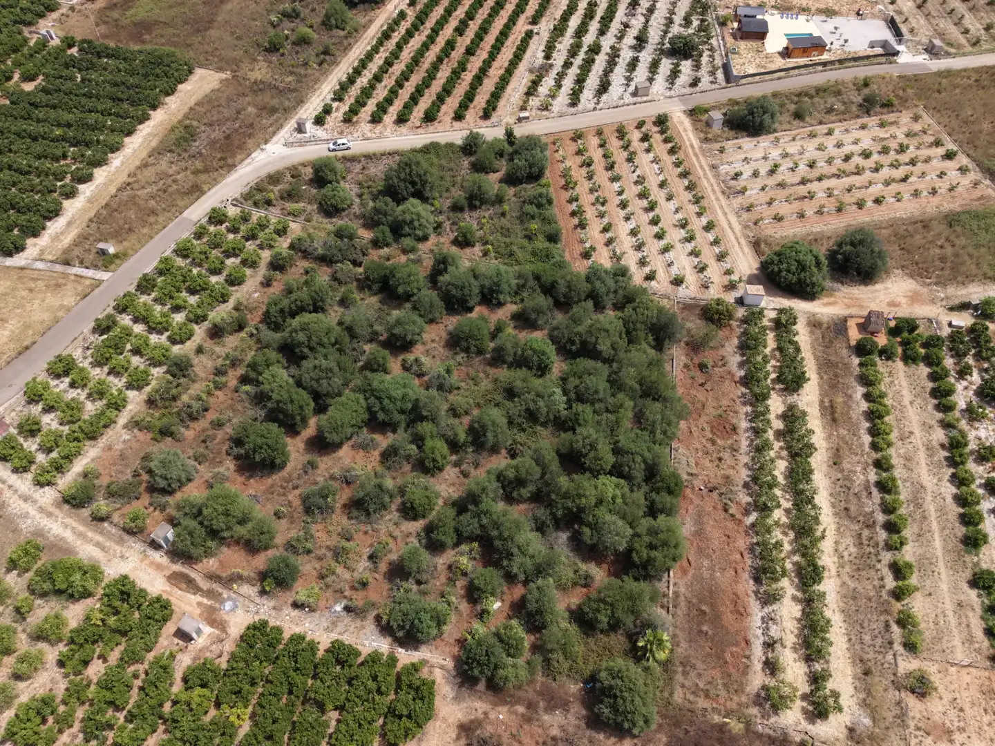 Rural land for sale in Carrer Castell 29, imagen 6