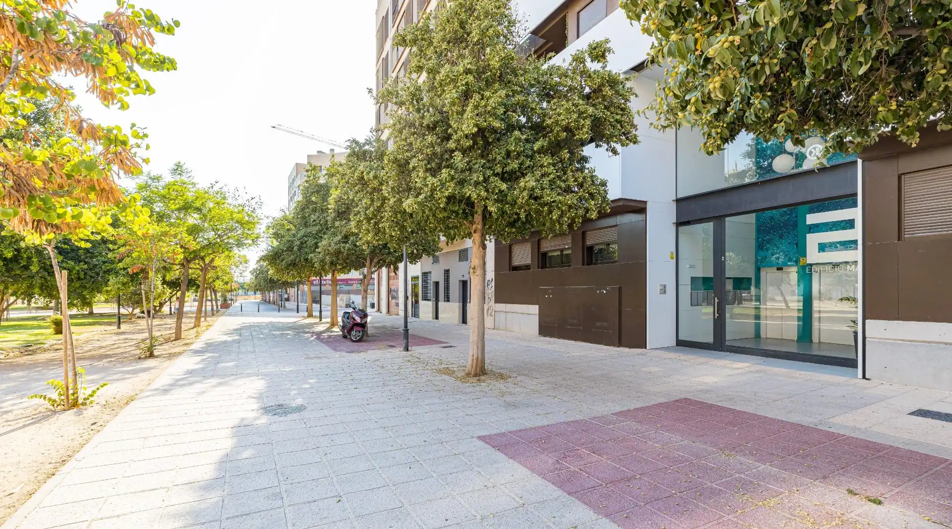 Piso con piscina en venta en Norte, imagen 41